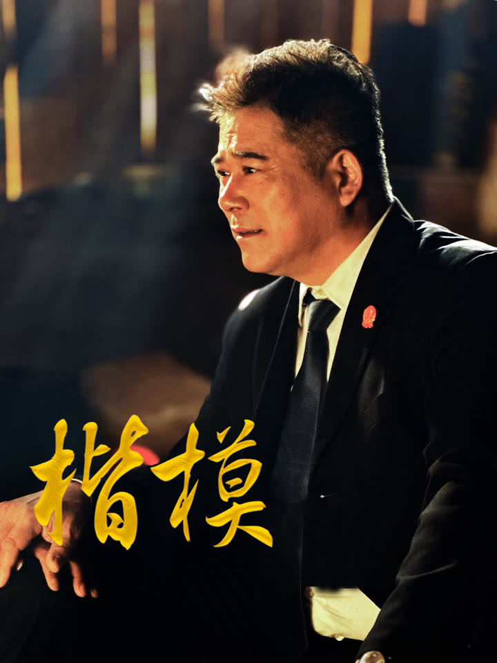 楷模海报